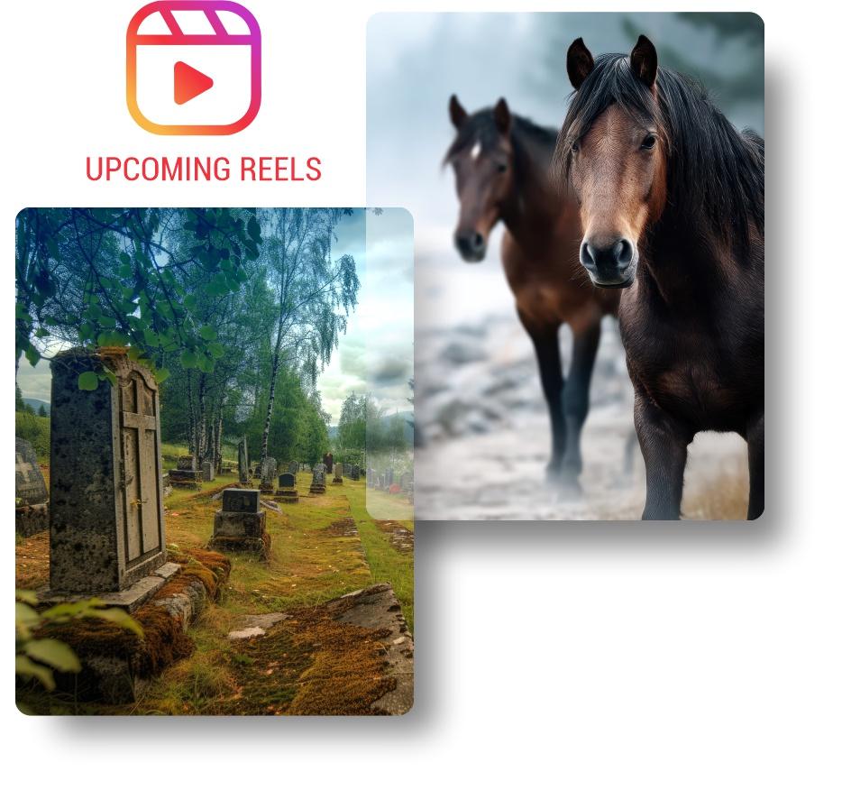 Horses in a field, from an upcoming SISU Behavioral Health feature